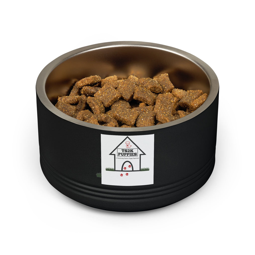 Personalized Dog Bowl — Signature Edition • Gold Text • Alex Brush | TS2K Puppies