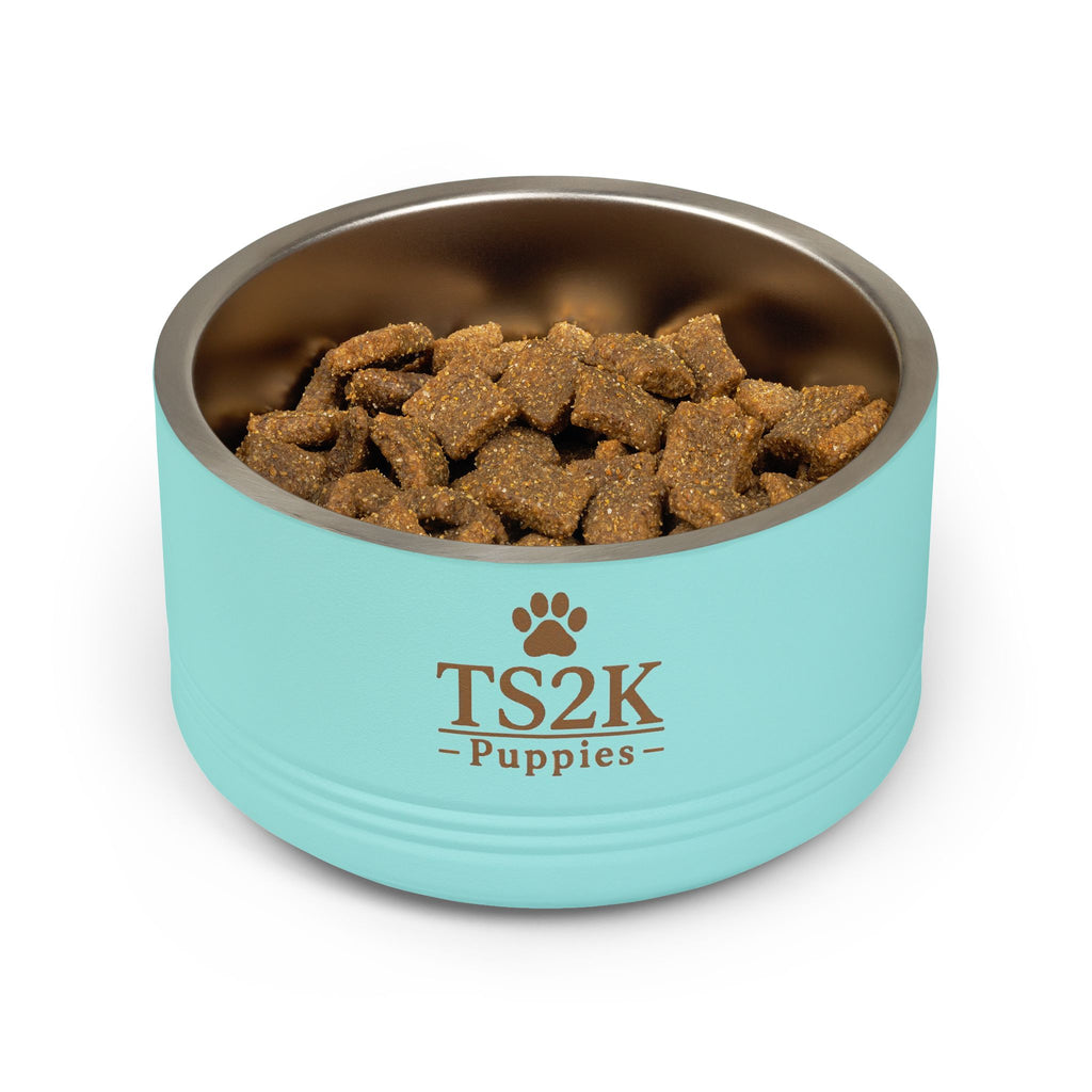 Personalized Dog Bowl — Paw Print Edition • Gold Text • DM Serif Display | TS2K Puppies