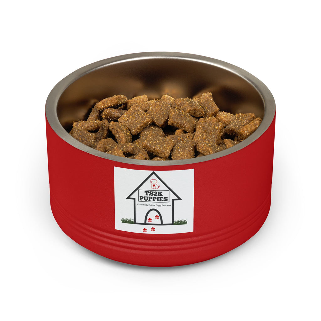 Personalized Dog Bowl — Signature Edition • Gold Text • DM Serif Display | TS2K Puppies