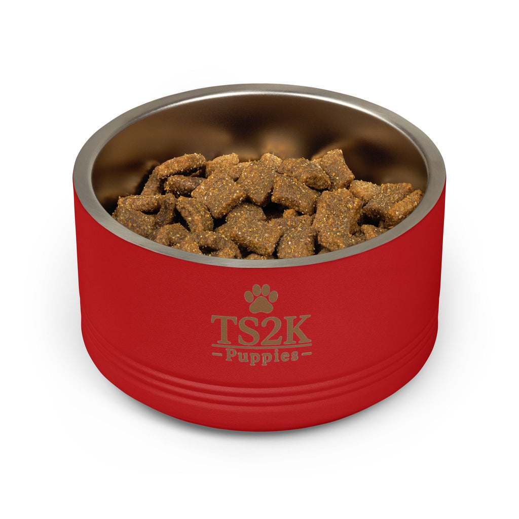 Personalized Dog Bowl — Paw Print Edition • Black Text • Alex Brush | TS2K Puppies
