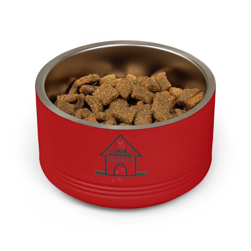 Personalized Dog Bowl — Signature Edition • Gold Text • Alex Brush | TS2K Puppies