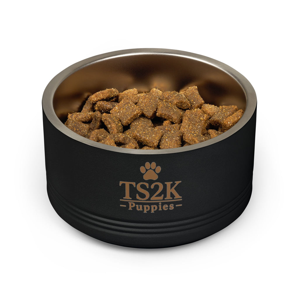 Personalized Dog Bowl — Paw Print Edition • Gold Text • DM Serif Display | TS2K Puppies