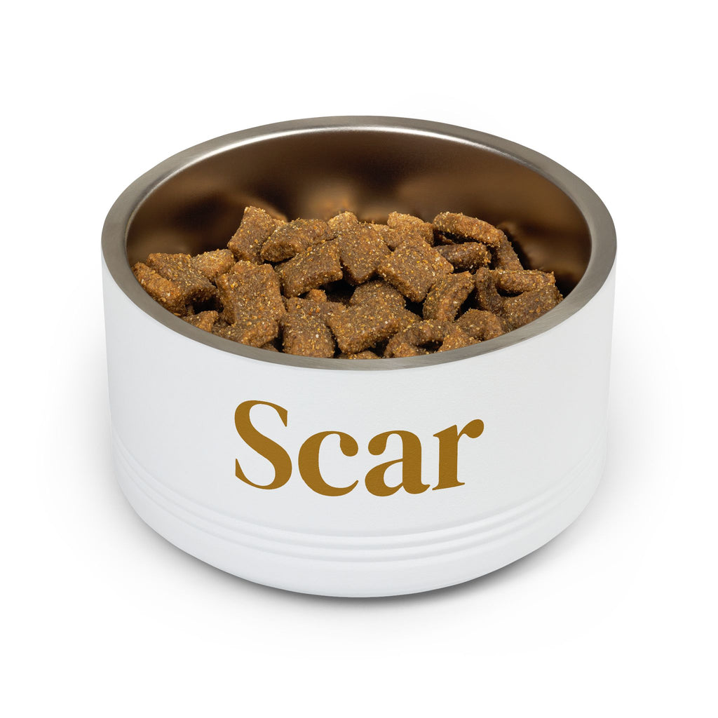 Personalized Dog Bowl — Signature Edition • Gold Text • DM Serif Display | TS2K Puppies