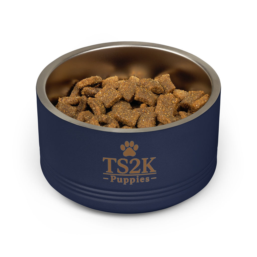 Personalized Dog Bowl — Paw Print Edition • Gold Text • DM Serif Display | TS2K Puppies
