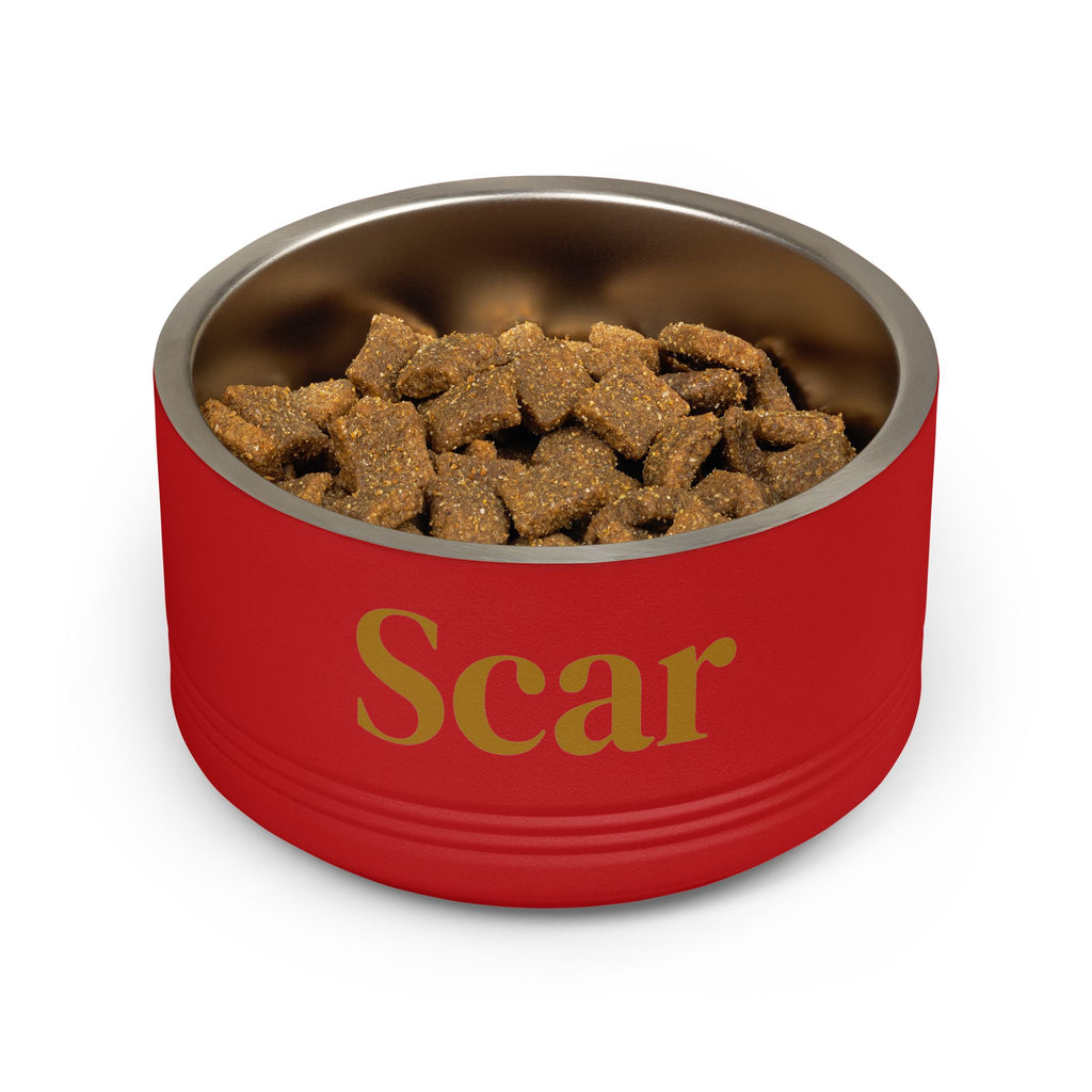 Personalized Dog Bowl — Signature Edition • Gold Text • DM Serif Display | TS2K Puppies