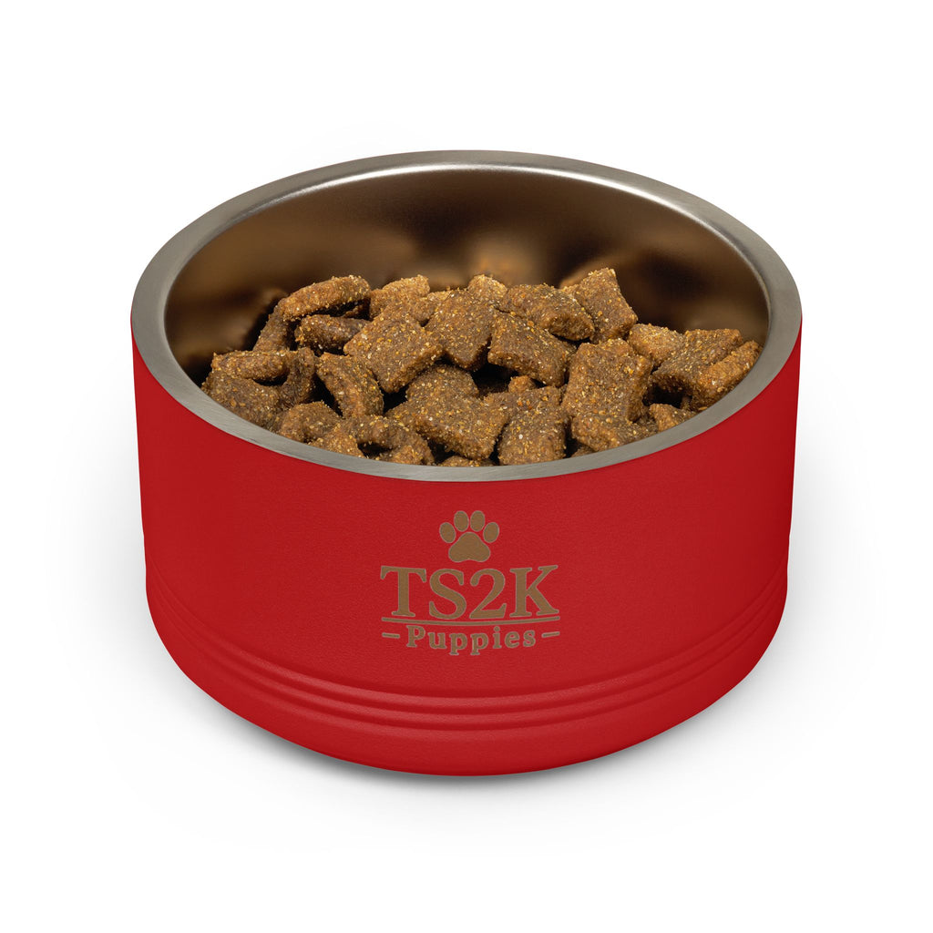 Personalized Dog Bowl — Paw Print Edition • White Text • Alex Brush | TS2K Puppies