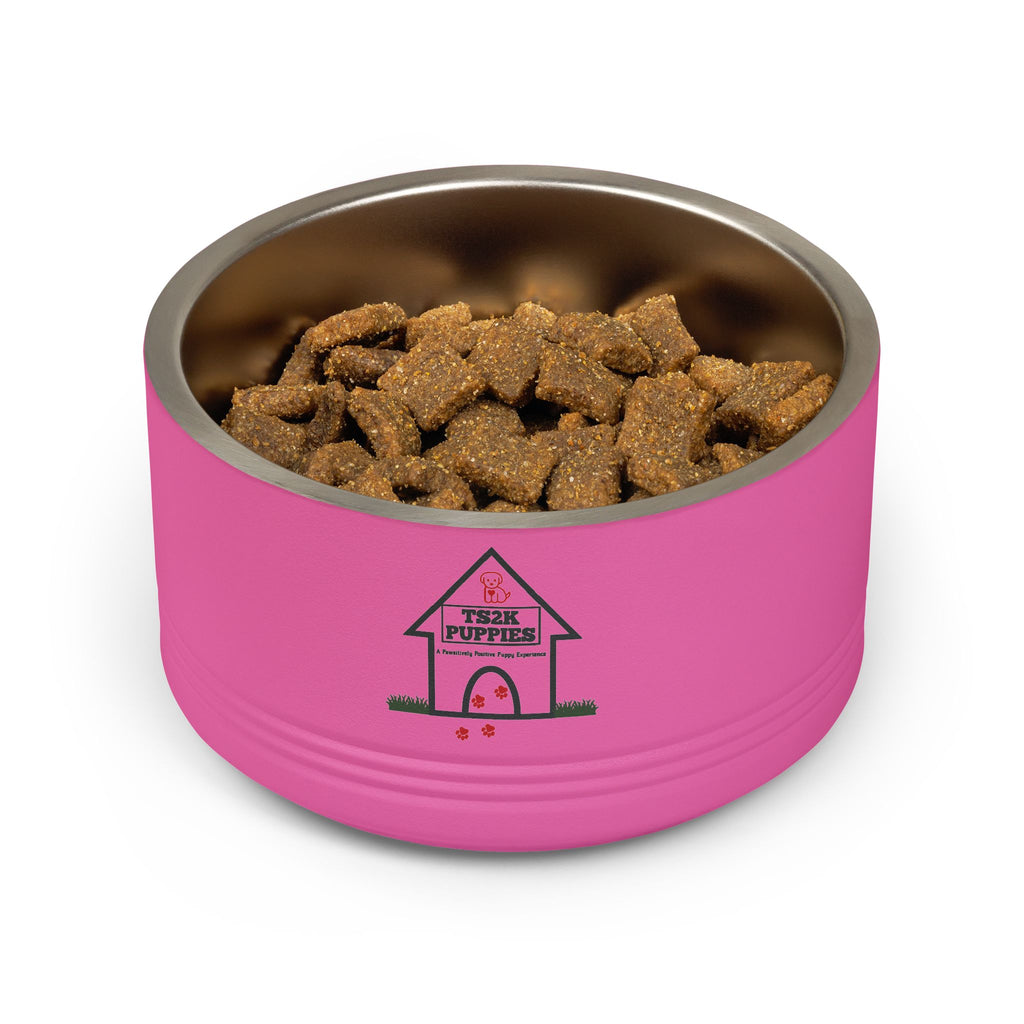 Personalized Dog Bowl — Signature Edition • Gold Text • Alex Brush | TS2K Puppies