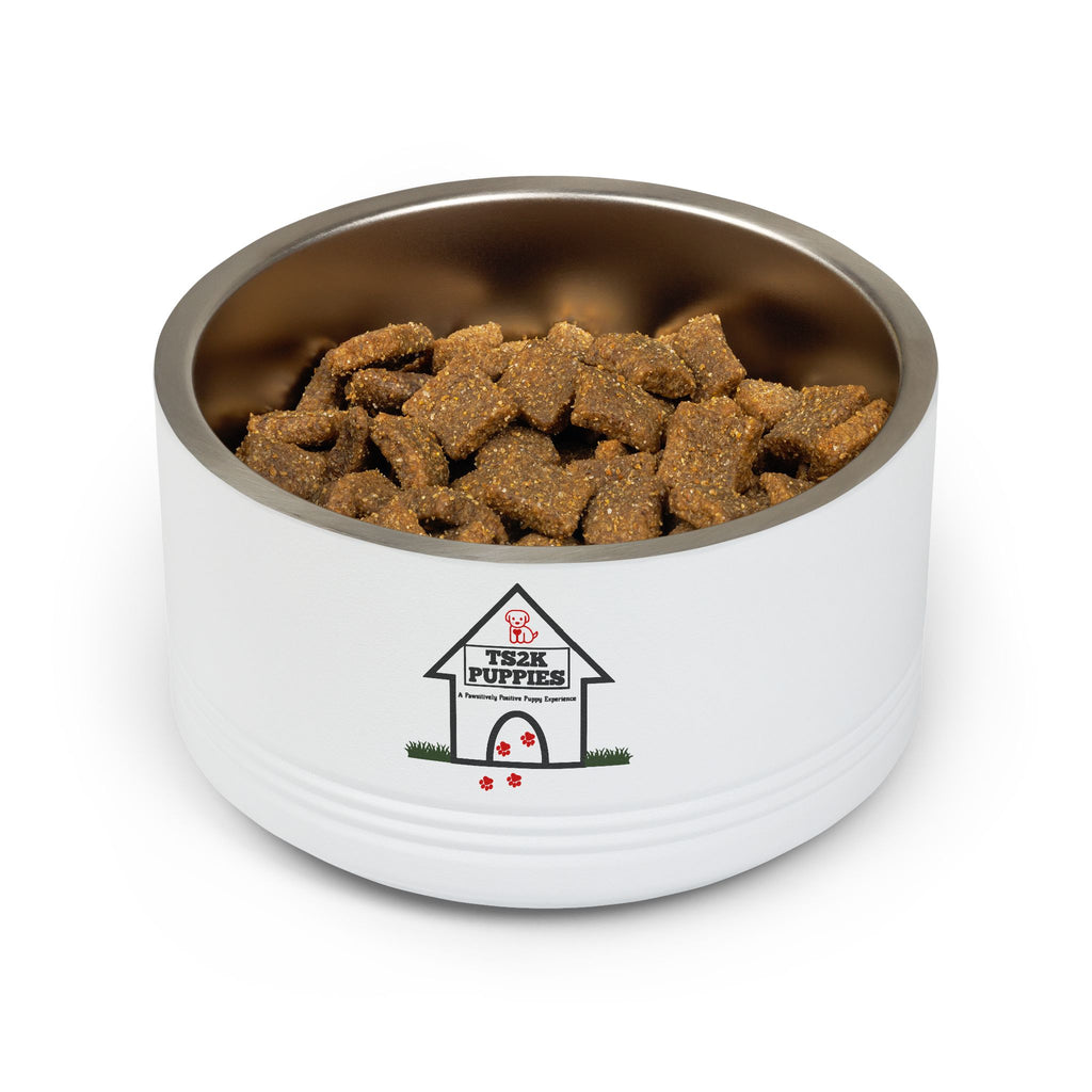 Personalized Dog Bowl — Signature Edition • Black Text • DM Serif Display | TS2K Puppies