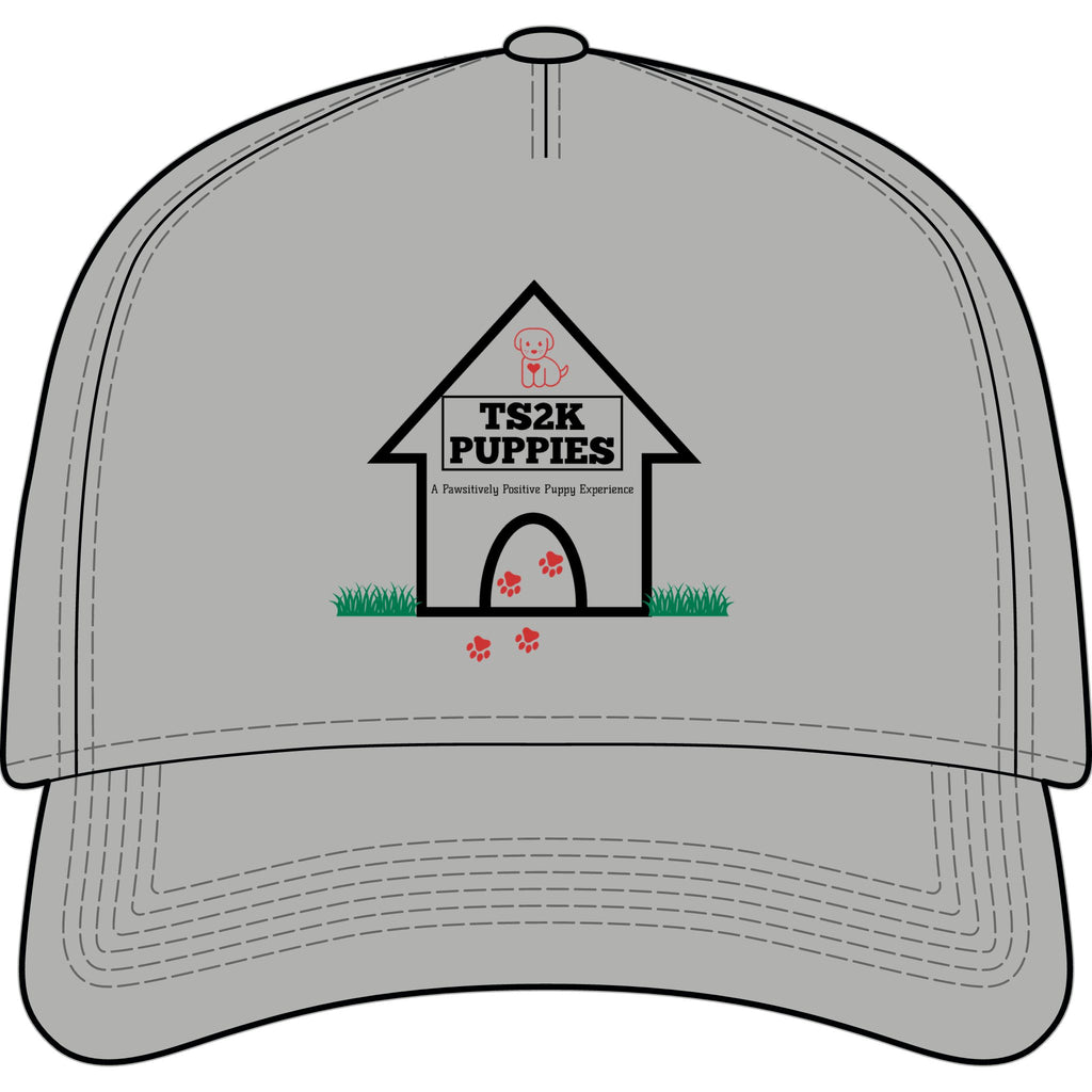 TS2K Puppies Dog House Cap - Embroidered Snapback Hat for Dog Lovers