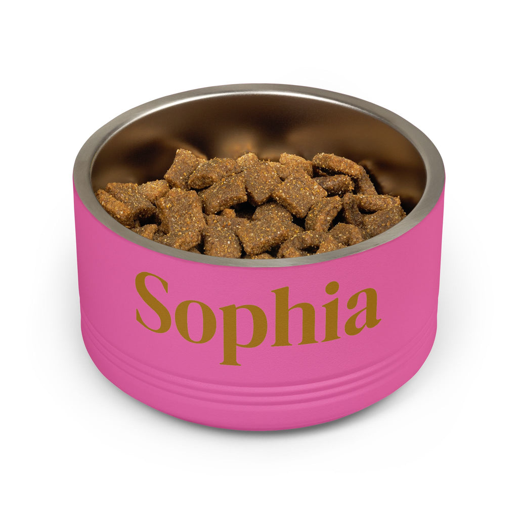 Personalized Dog Bowl — Paw Print Edition • Gold Text • DM Serif Display | TS2K Puppies