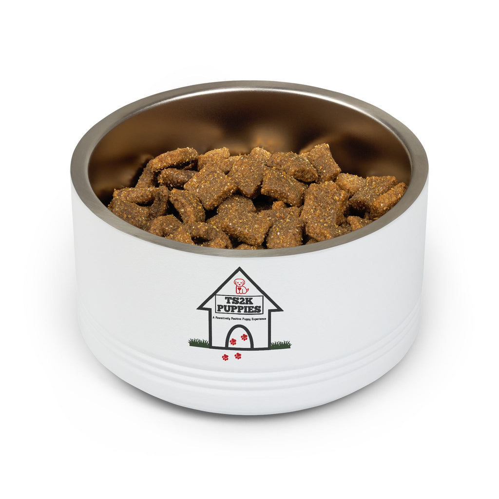 Personalized Dog Bowl — Signature Edition • Black Text • Alex Brush | TS2K Puppies