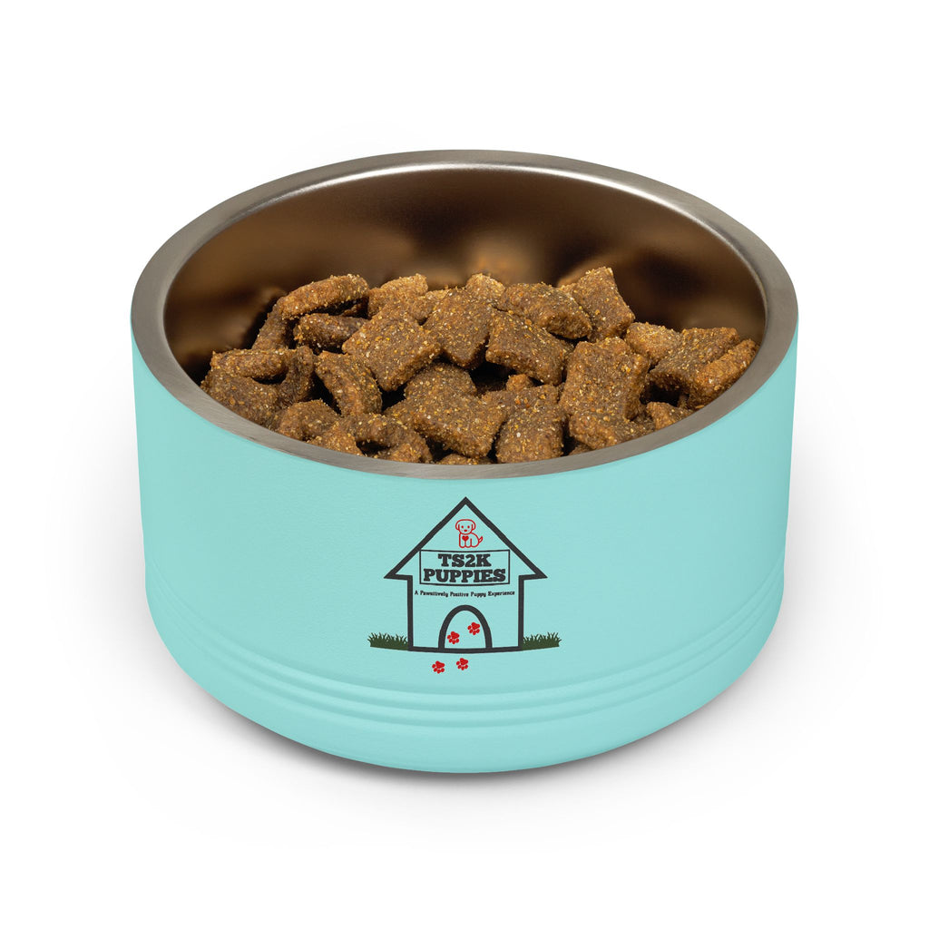 Personalized Dog Bowl — Signature Edition • Gold Text • DM Serif Display | TS2K Puppies