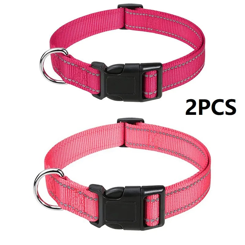 Decorative Dog Collar | Adjustable & Stylish for Small & Medium Dogs