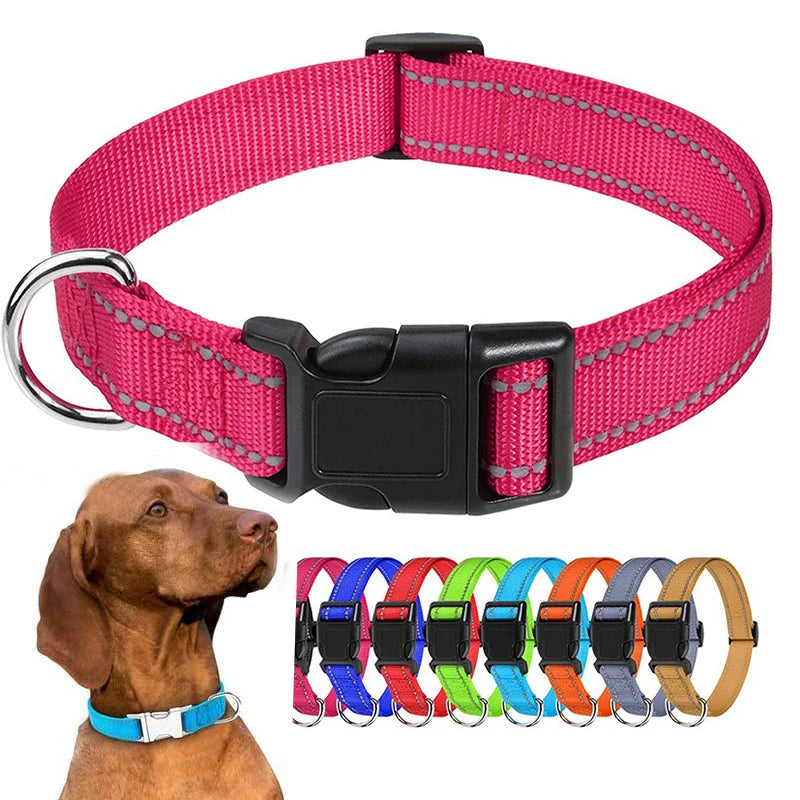 Decorative Dog Collar | Adjustable & Stylish for Small & Medium Dogs