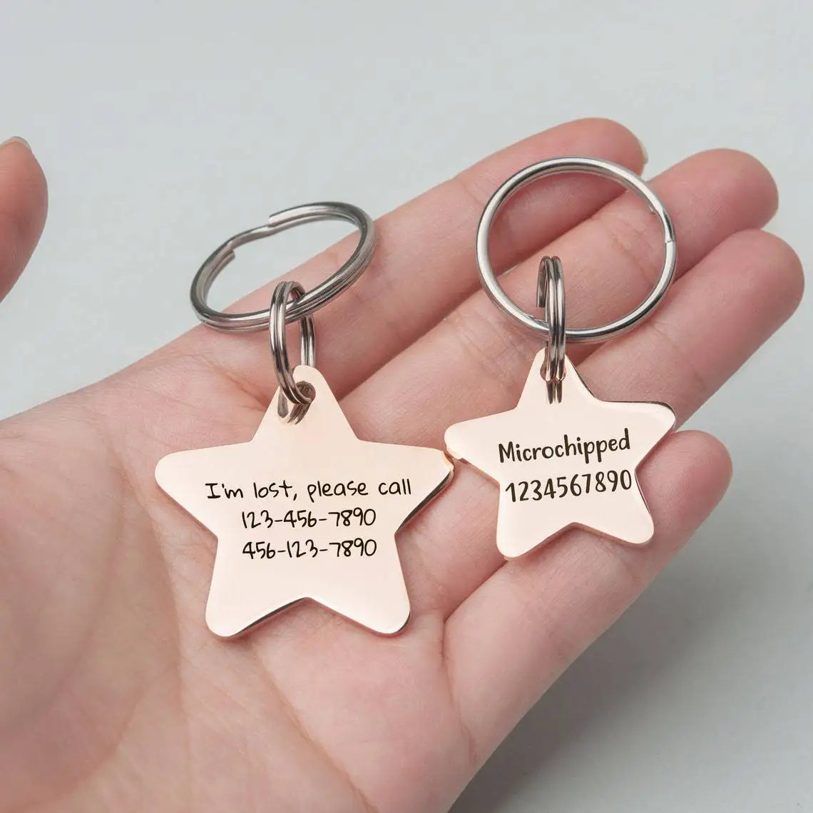 Personalized Pet Name Tag