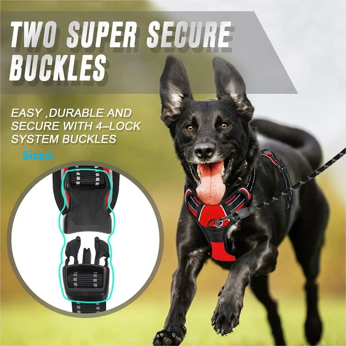 No-Pull Step-In Dog Harness | Reflective & Adjustable