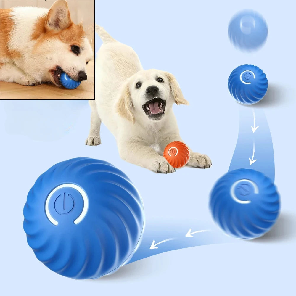 Smart Auto-Moving Dog Ball — USB Rechargeable Interactive Bouncing Toy | TS2K Puppies