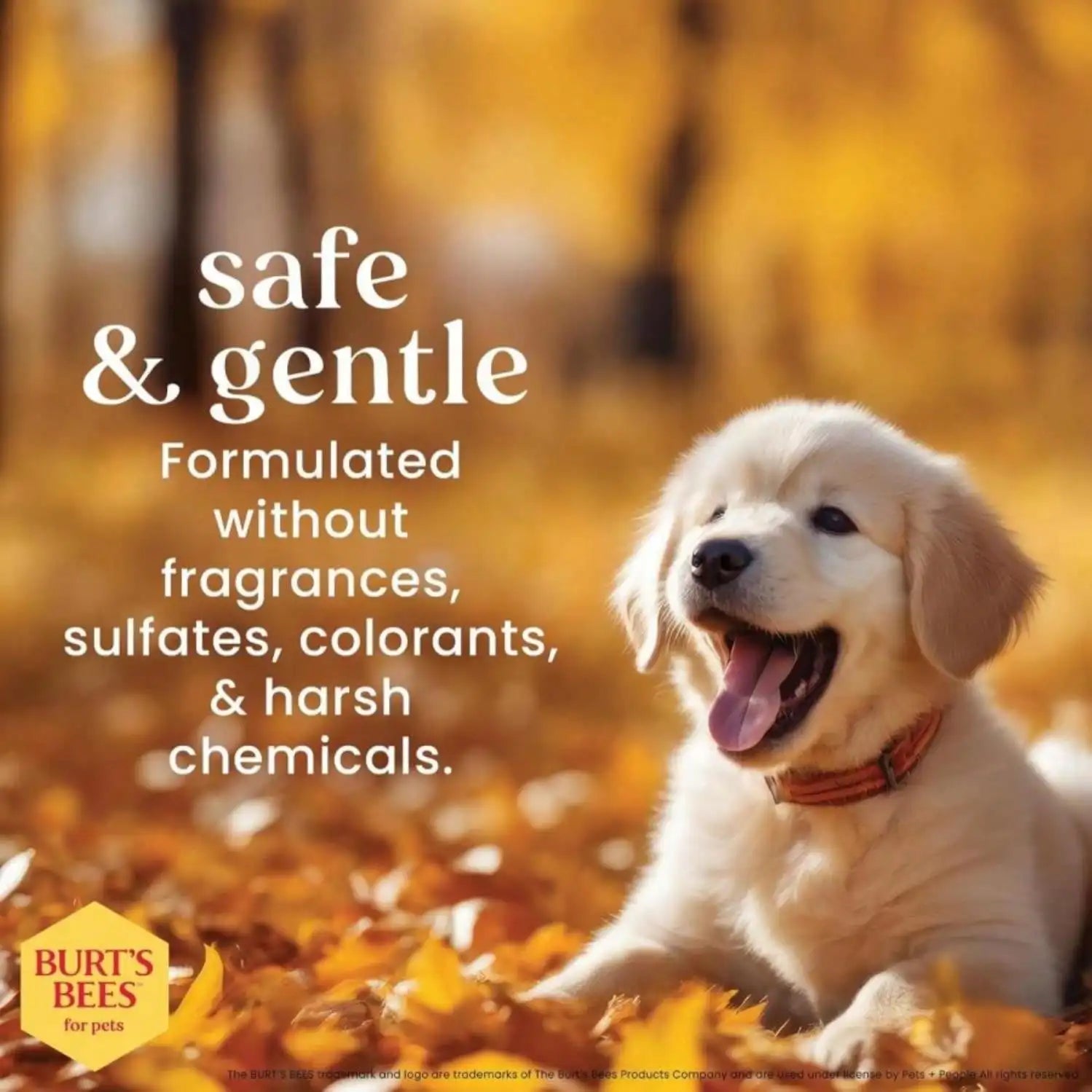 TS2K Puppies Tear-Free Puppy Shampoo & Conditioner