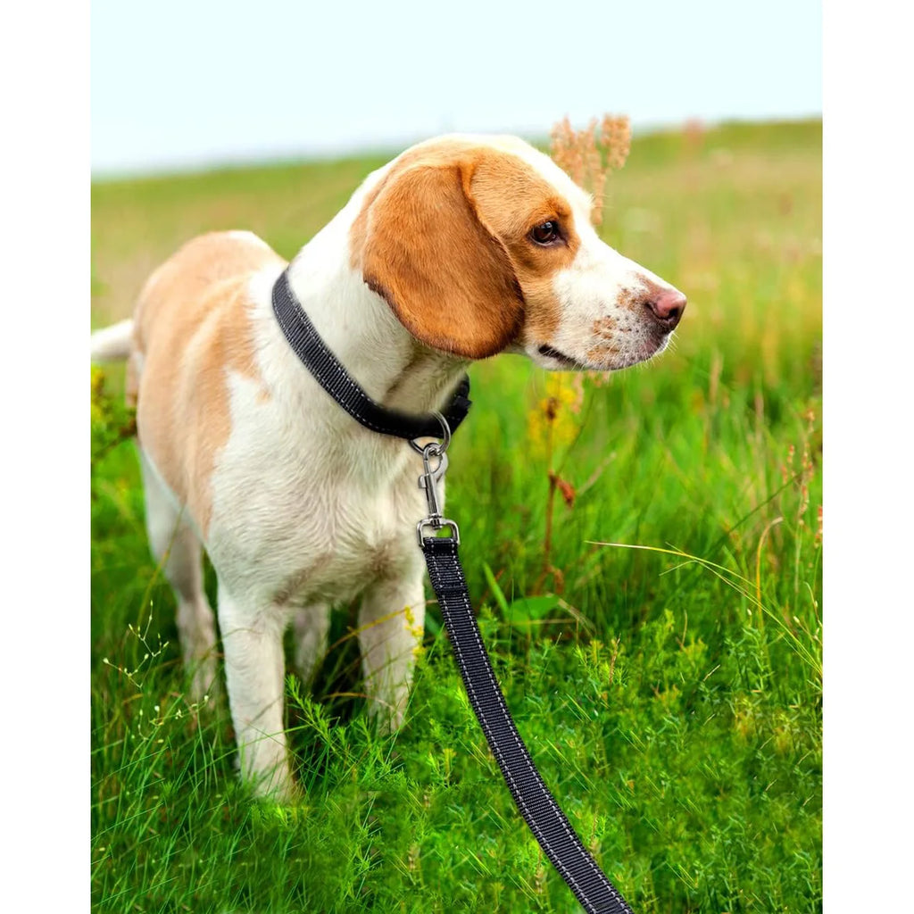 Reflective Dog Leash | Soft Padded Handle for Small & Medium Dogs