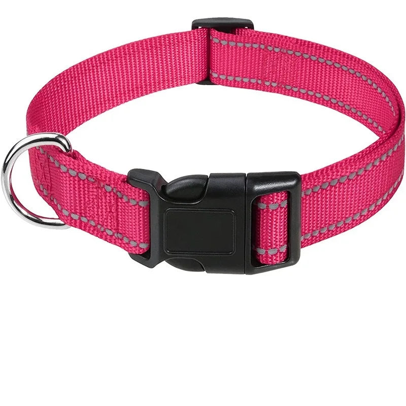 Decorative Dog Collar | Adjustable & Stylish for Small & Medium Dogs