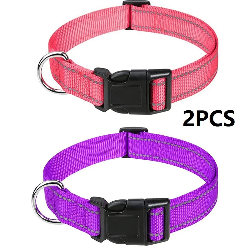 Decorative Dog Collar | Adjustable & Stylish for Small & Medium Dogs