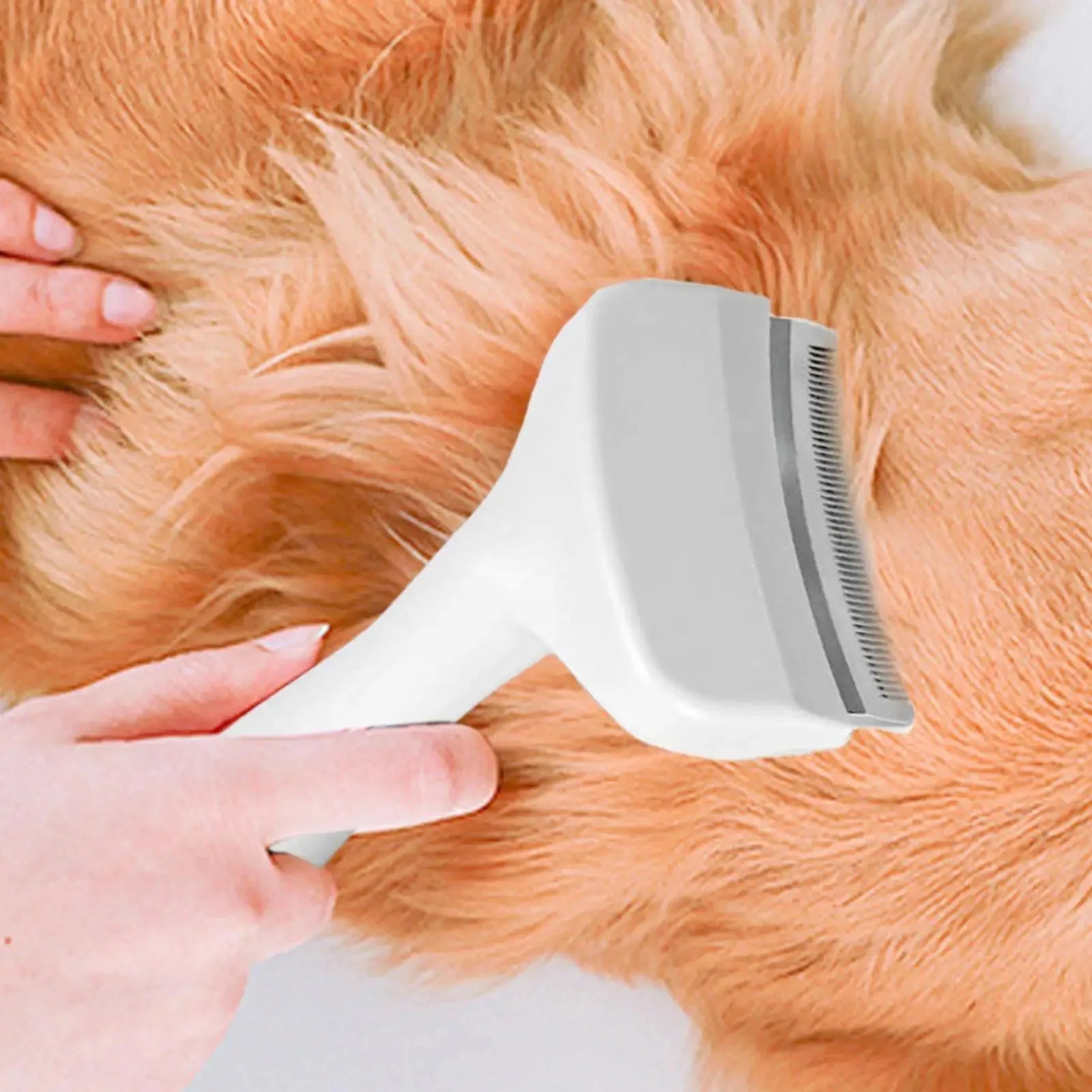 TS2K Puppies Slicker Brush & Deshedding Tool