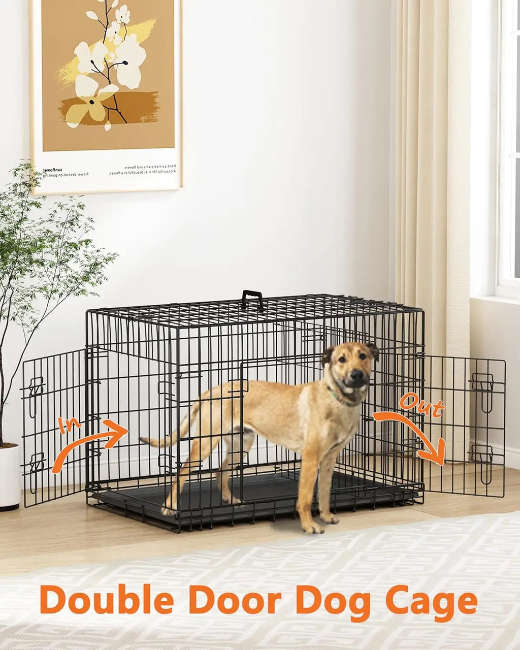 Small Dog Crate 24 Inch — Double Door Folding Wire Kennel with Divider & Leak-Proof Tray