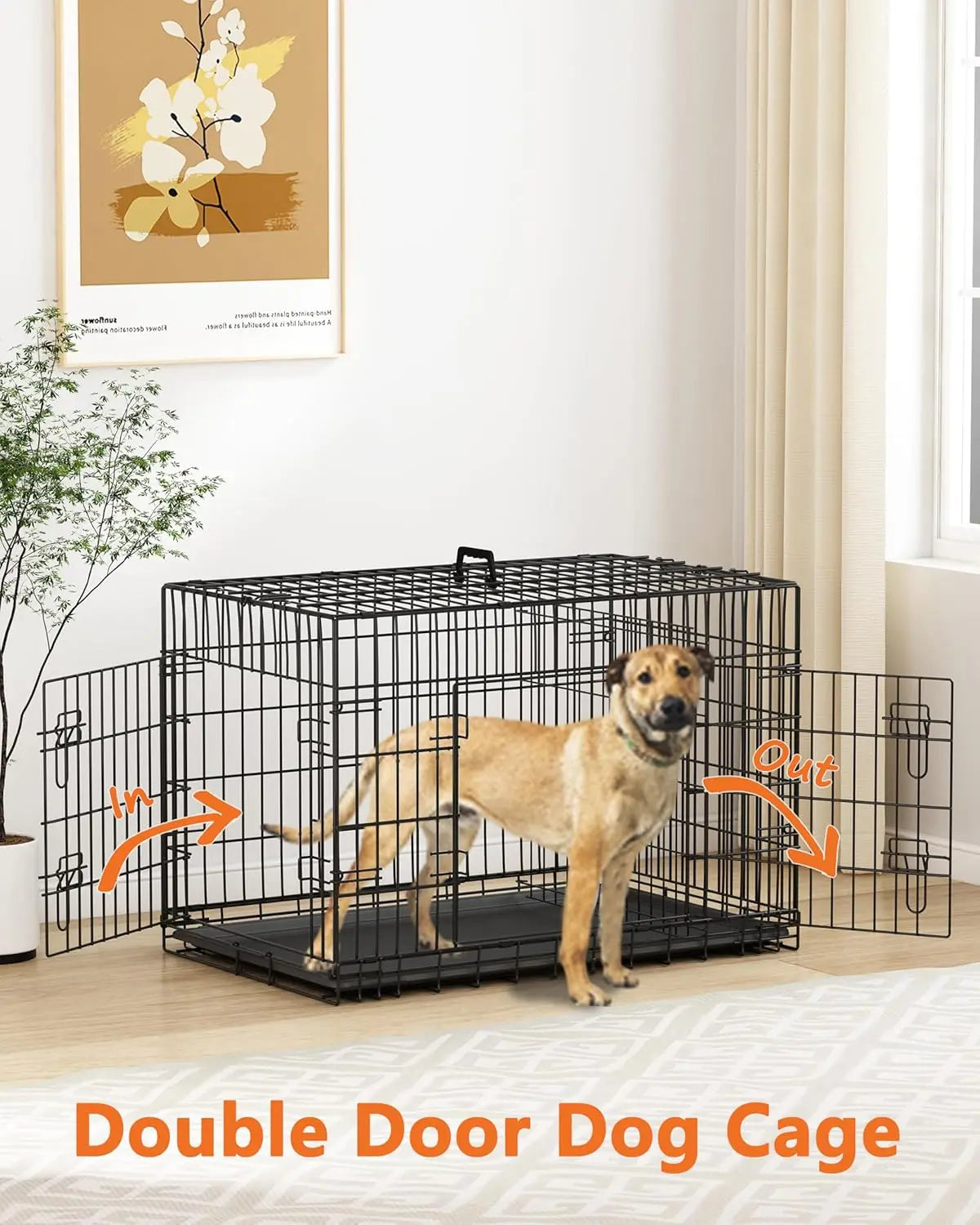 Small Dog Crate 24 Inch — Double Door Folding Wire Kennel with Divider & Leak-Proof Tray