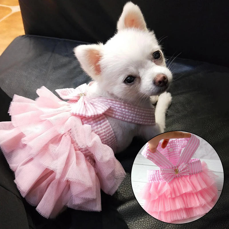TS2K Puppies Dog Summer Dress & Lace Skirt