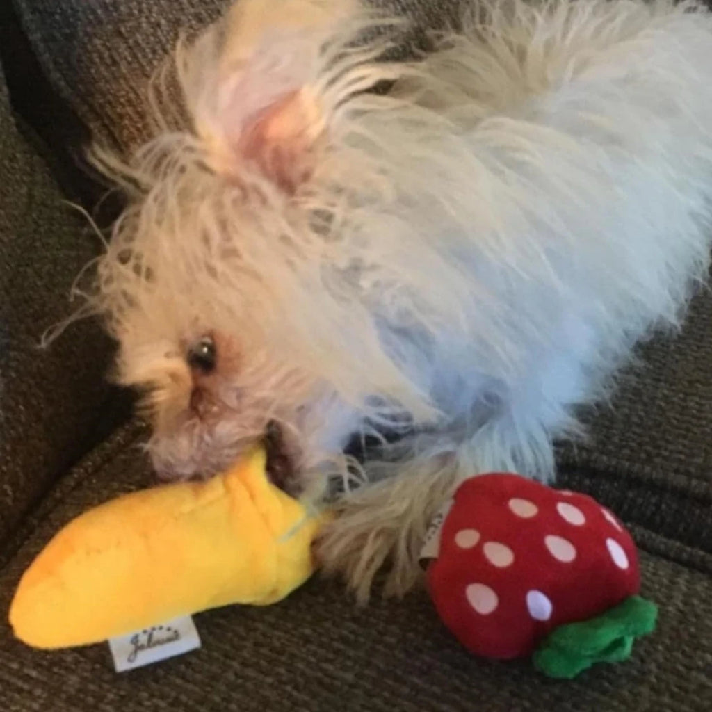 Puppy Toy Set — 7-Piece Plush, Squeaky & Chew Bundle