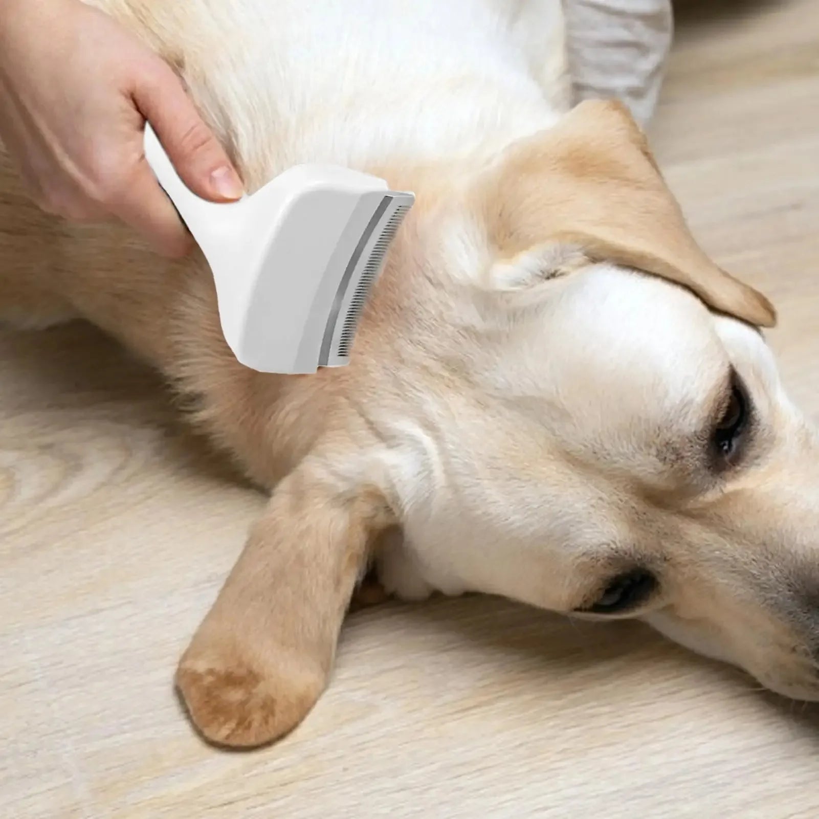TS2K Puppies Slicker Brush & Deshedding Tool