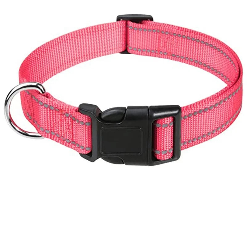 Decorative Dog Collar | Adjustable & Stylish for Small & Medium Dogs