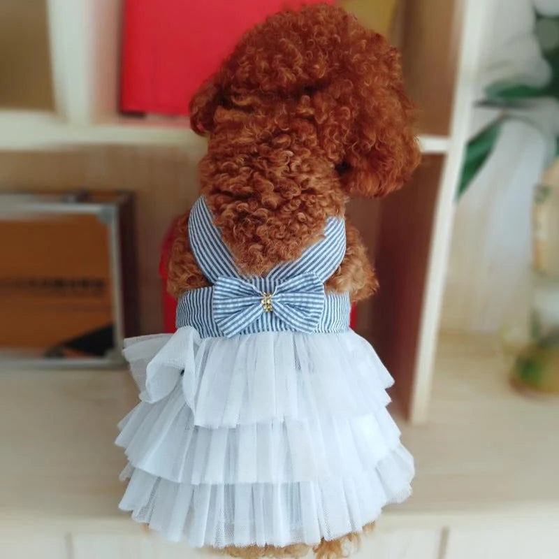 TS2K Puppies Dog Summer Dress & Lace Skirt