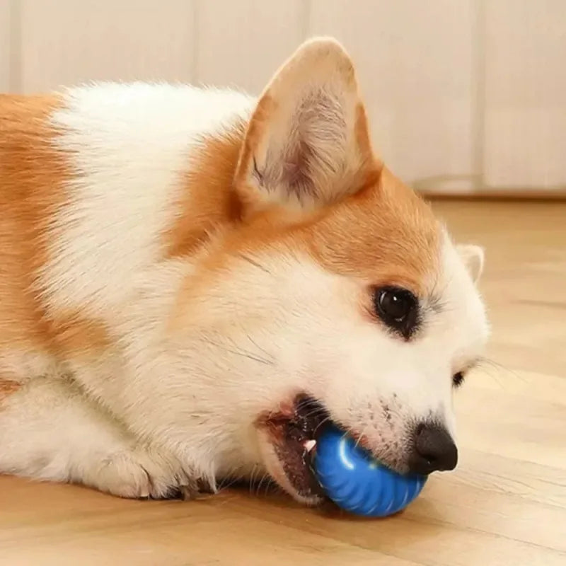 Smart Auto-Moving Dog Ball — USB Rechargeable Interactive Bouncing Toy | TS2K Puppies