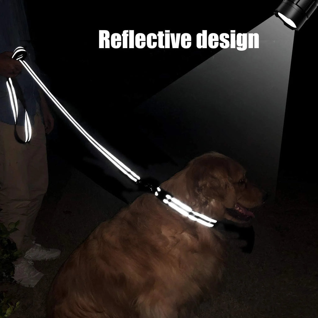 Reflective Dog Leash | Soft Padded Handle for Small & Medium Dogs