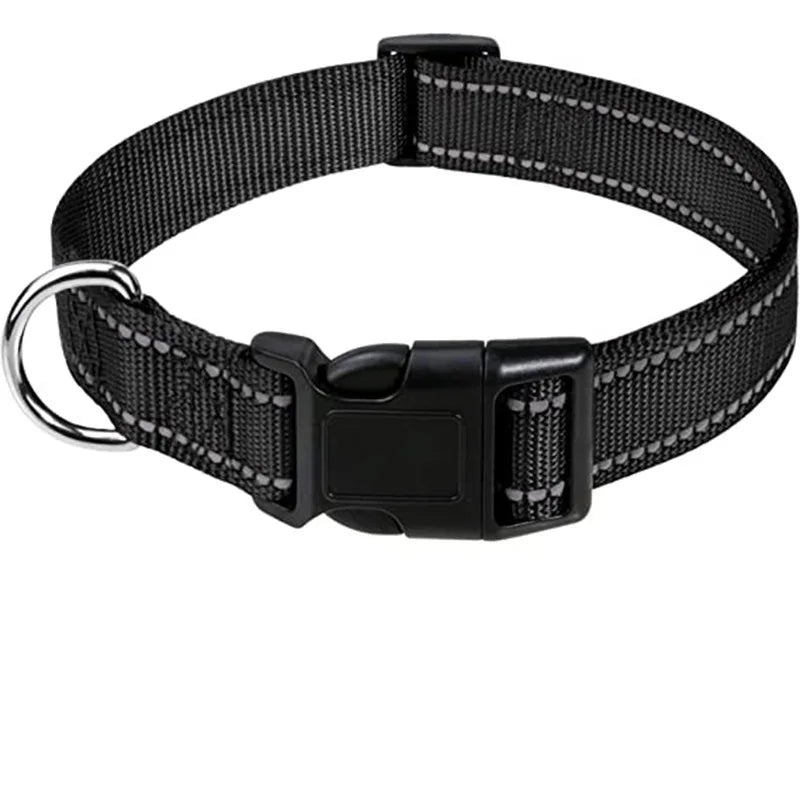 Decorative Dog Collar | Adjustable & Stylish for Small & Medium Dogs