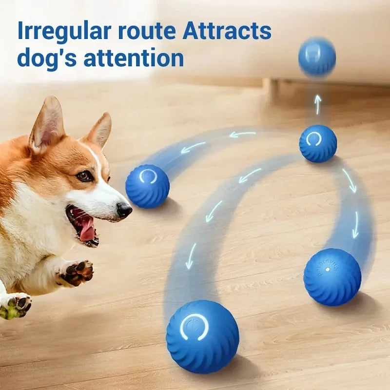 Smart Auto-Moving Dog Ball — USB Rechargeable Interactive Bouncing Toy | TS2K Puppies