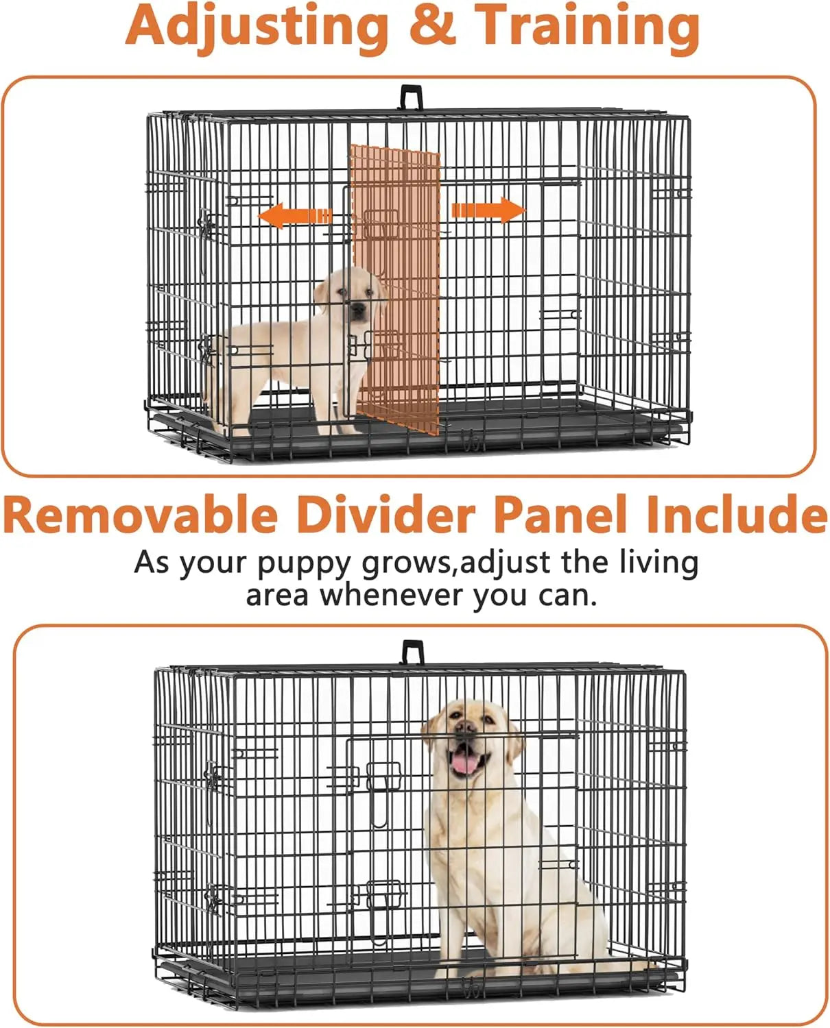 Small Dog Crate 24 Inch — Double Door Folding Wire Kennel with Divider & Leak-Proof Tray