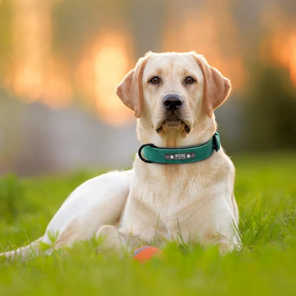 Personalized Leather Dog Collar — Custom Name & ID Tag for Dogs