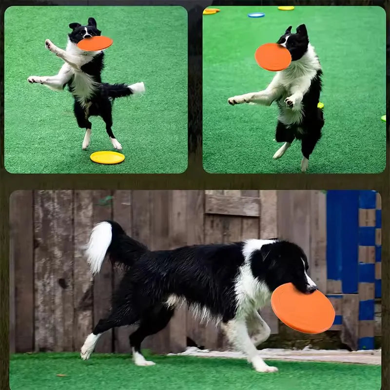 Soft Rubber Dog Frisbee — Tear-Resistant Flying Disc for Fetch & Training | TS2K Puppies