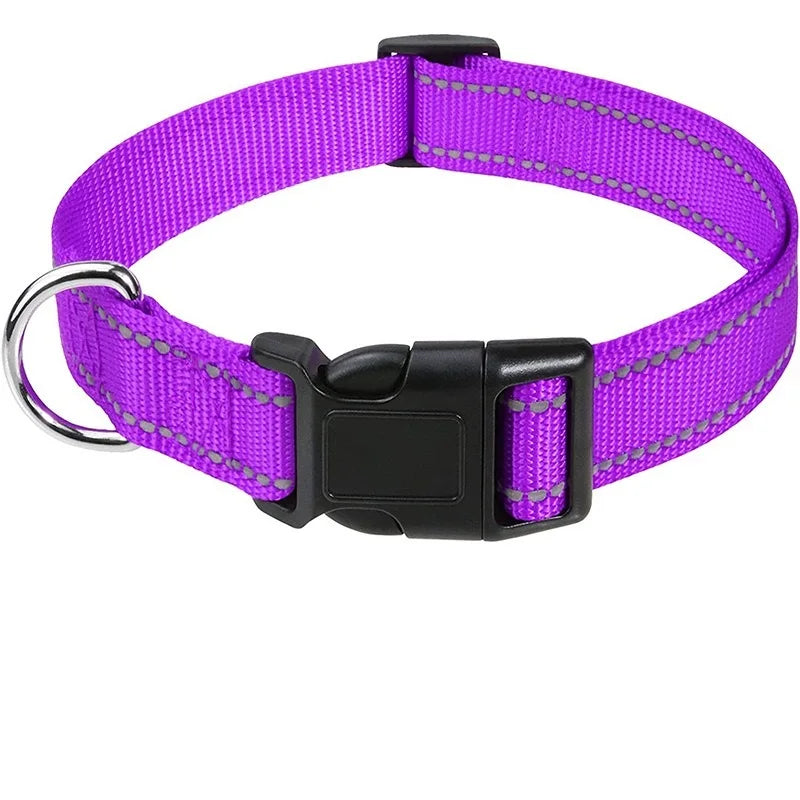 Decorative Dog Collar | Adjustable & Stylish for Small & Medium Dogs