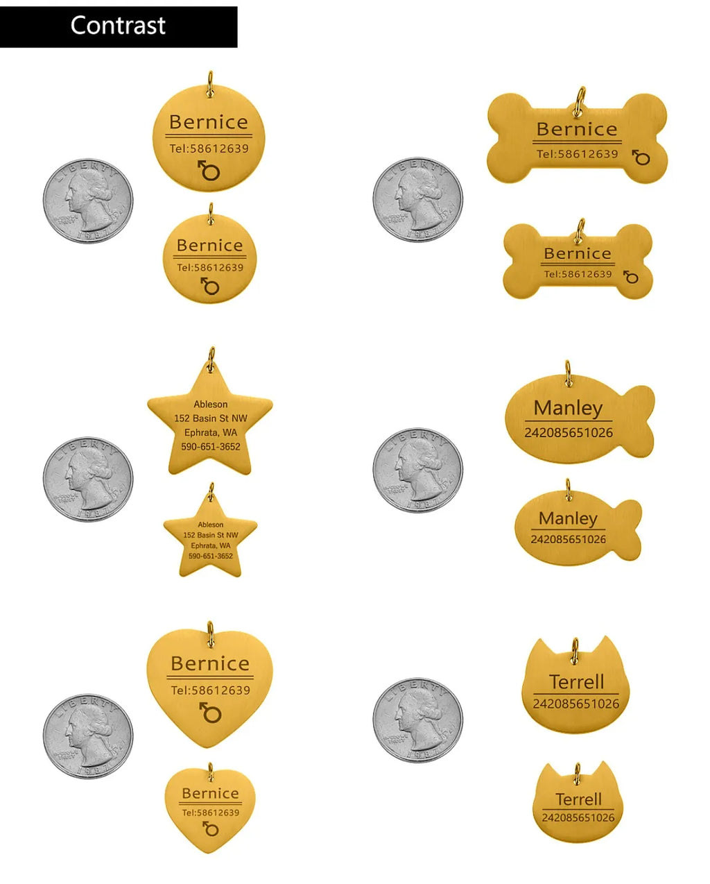 Personalized Pet Name Tag