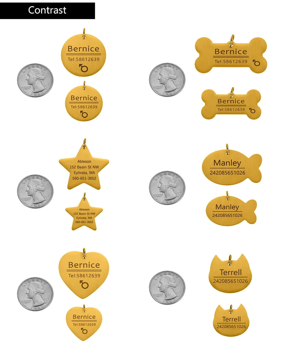 Personalized Pet Name Tag