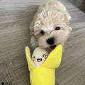 Puppy Toy Set — 7-Piece Plush, Squeaky & Chew Bundle