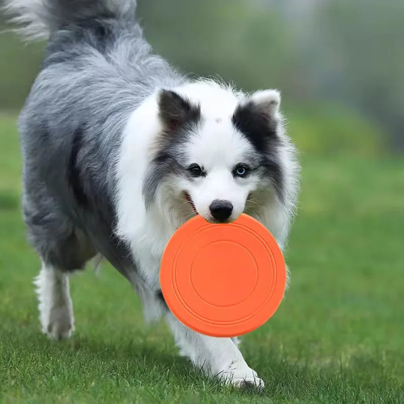 Soft Rubber Dog Frisbee — Tear-Resistant Flying Disc for Fetch & Training | TS2K Puppies