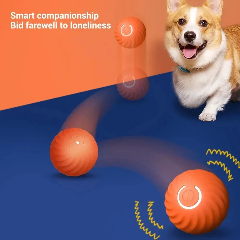 Smart Auto-Moving Dog Ball — USB Rechargeable Interactive Bouncing Toy | TS2K Puppies
