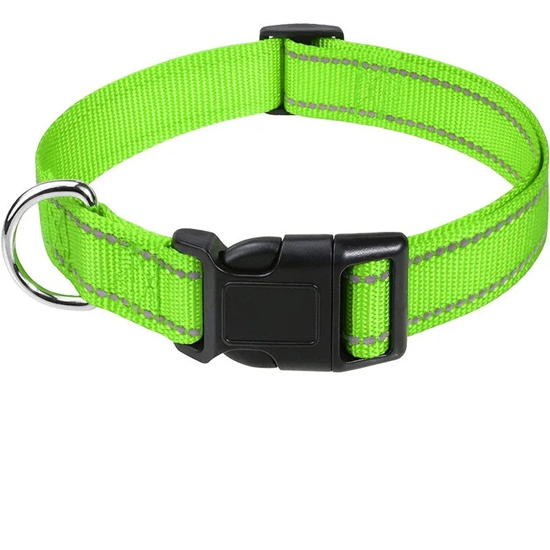 Decorative Dog Collar | Adjustable & Stylish for Small & Medium Dogs