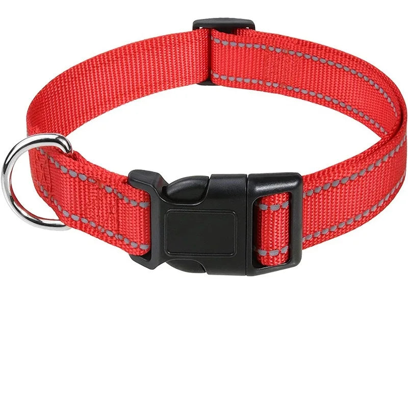 Decorative Dog Collar | Adjustable & Stylish for Small & Medium Dogs