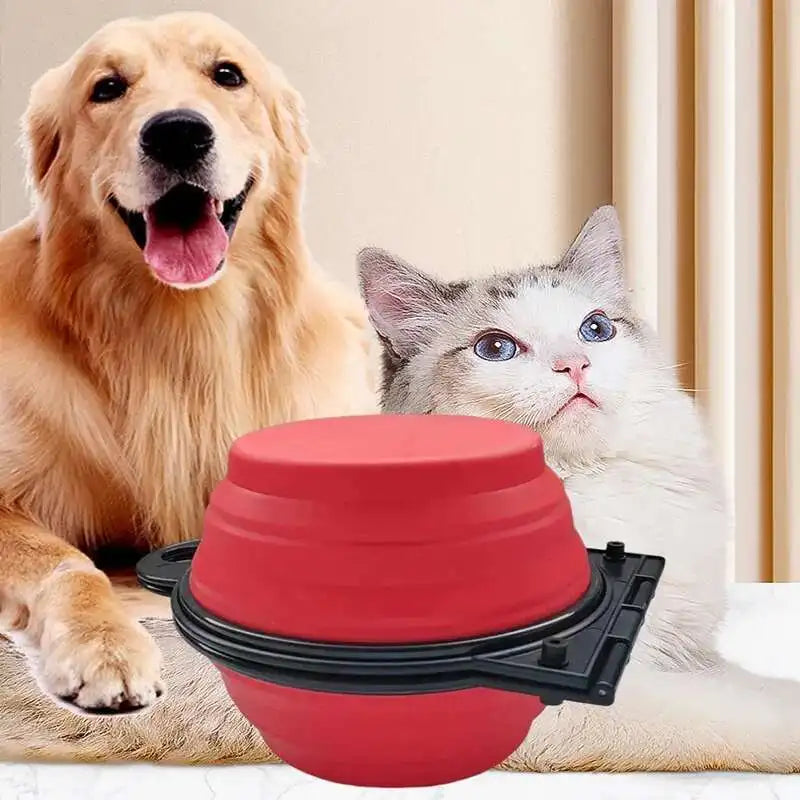 2-in-1 Collapsible Dog Travel Bowl — Portable Foldable Slow Feeder