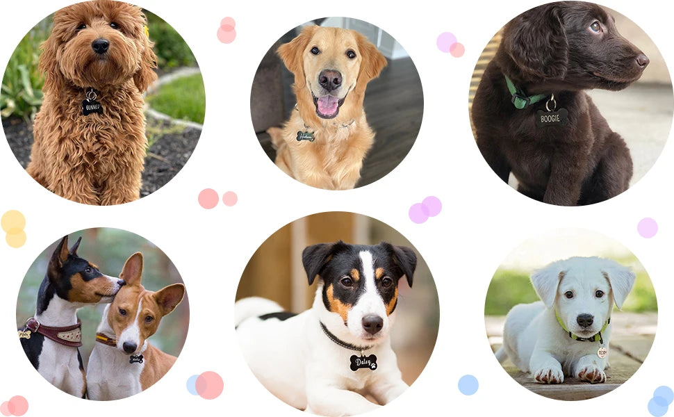 Personalized Pet Name Tag